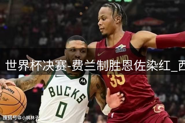 世界杯决赛-费兰制胜恩佐染红 西班牙加时1-0阿根廷夺冠