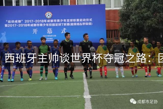 西班牙主帅谈世界杯夺冠之路：团队精神与战术执行的完美融合